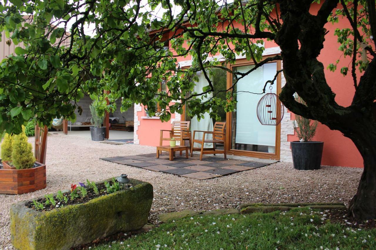 Gite Au Centre De L'Alsace Scherwiller 外观 照片
