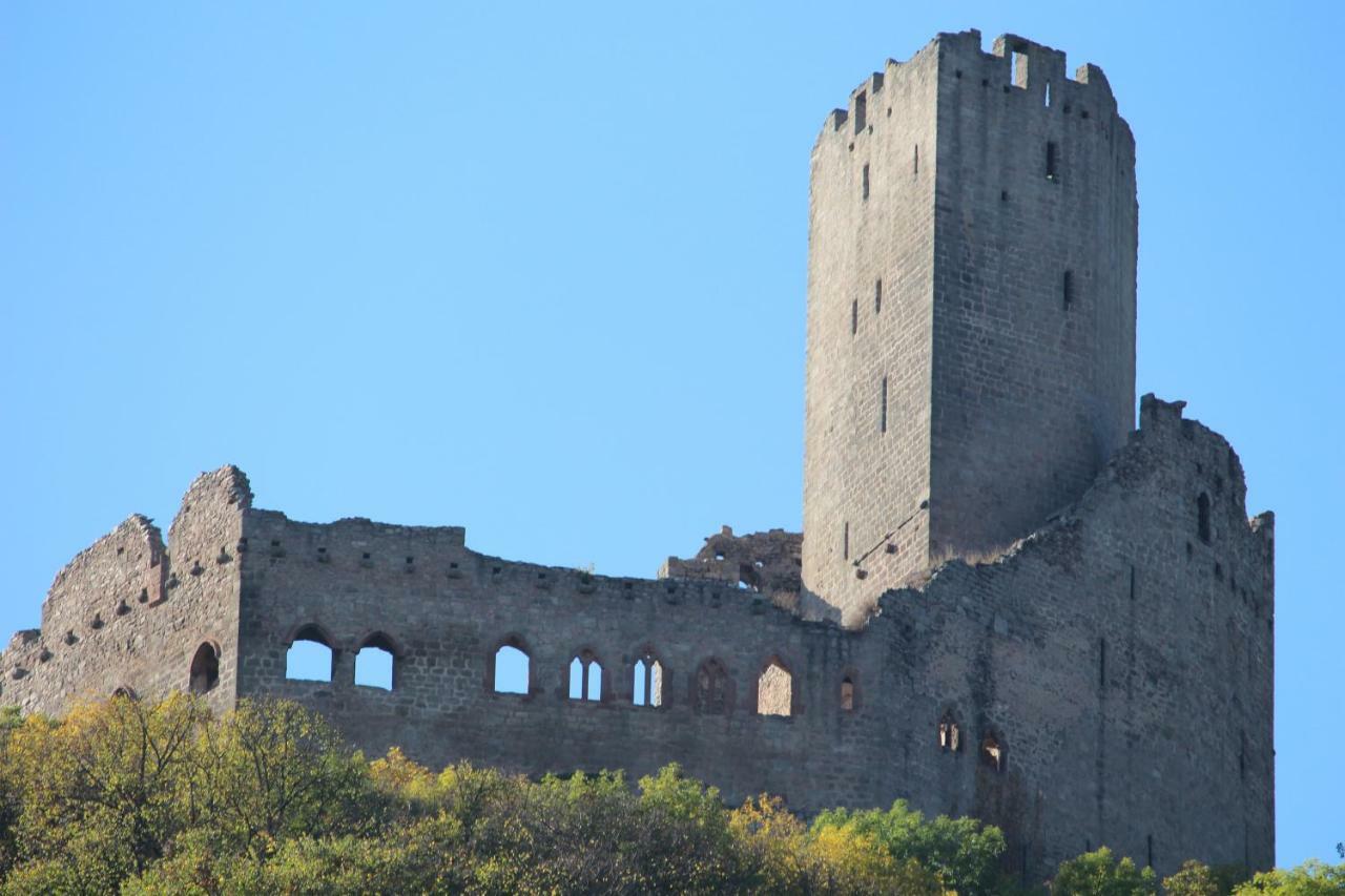 Gite Au Centre De L'Alsace Scherwiller 外观 照片
