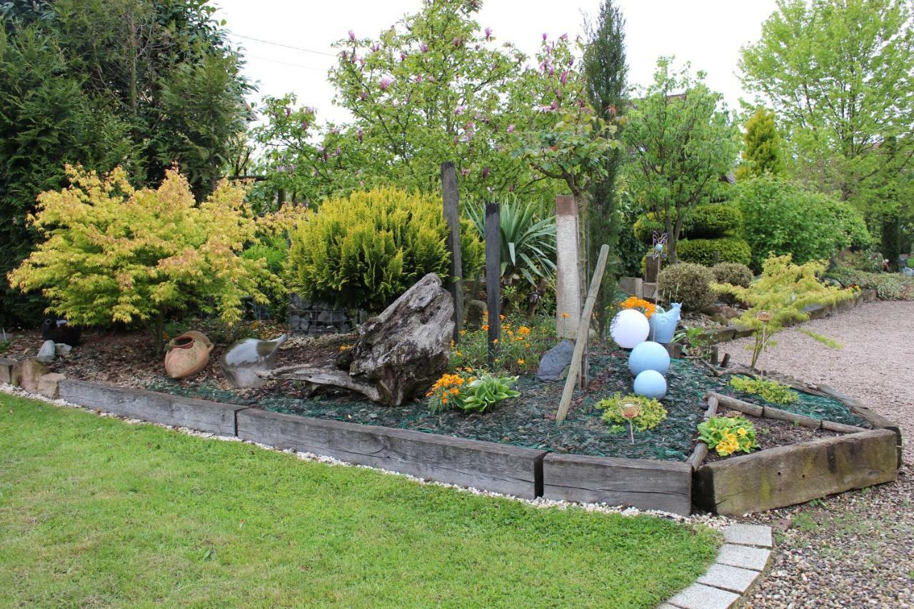 Gite Au Centre De L'Alsace Scherwiller 外观 照片