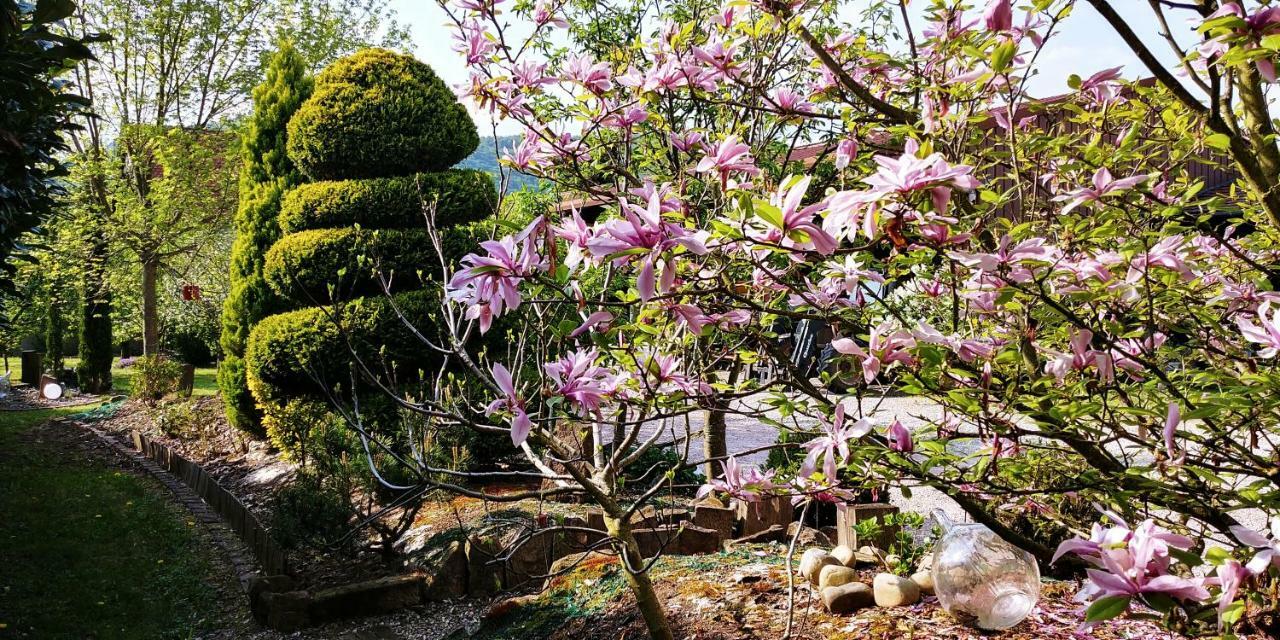 Gite Au Centre De L'Alsace Scherwiller 外观 照片