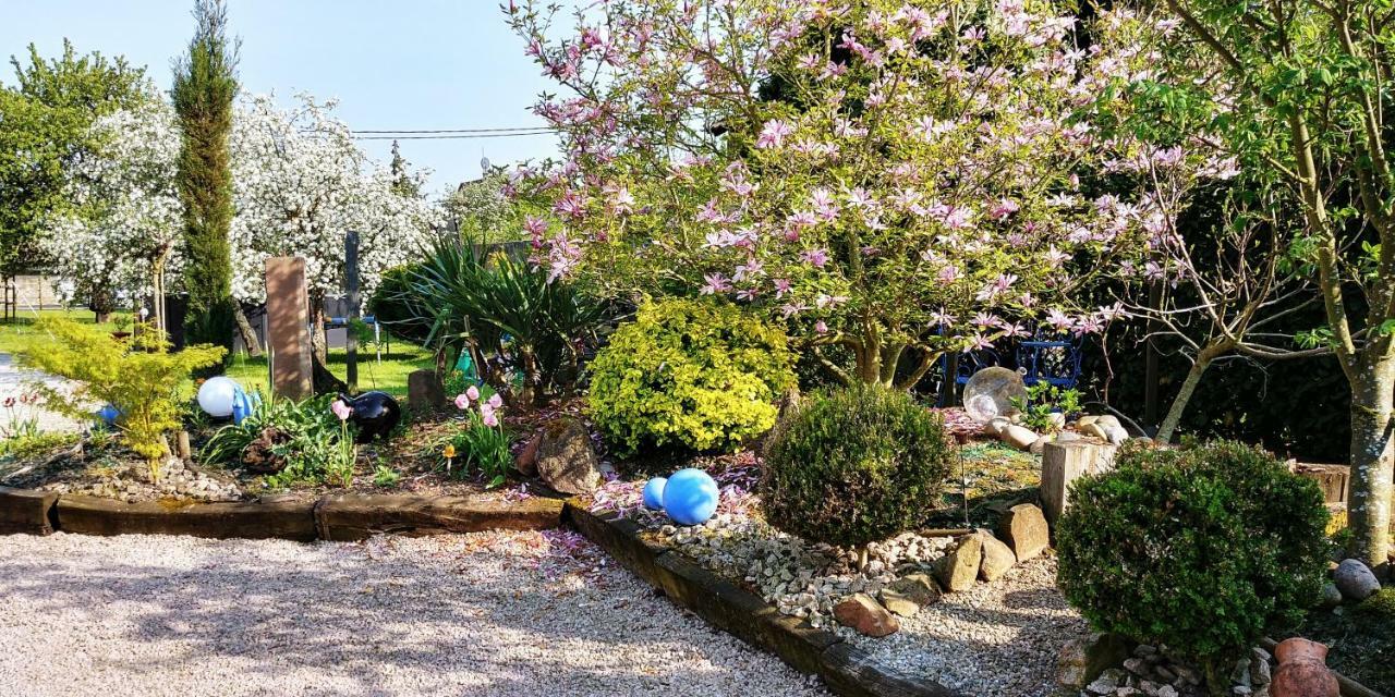 Gite Au Centre De L'Alsace Scherwiller 外观 照片
