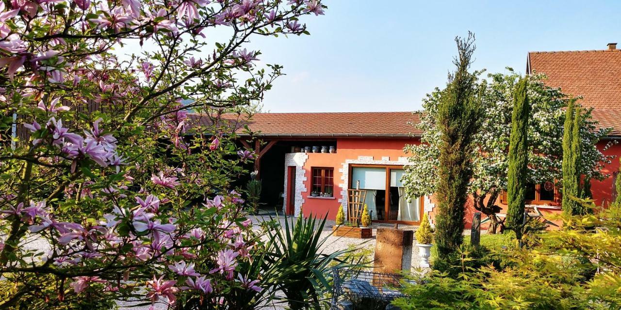 Gite Au Centre De L'Alsace Scherwiller 外观 照片